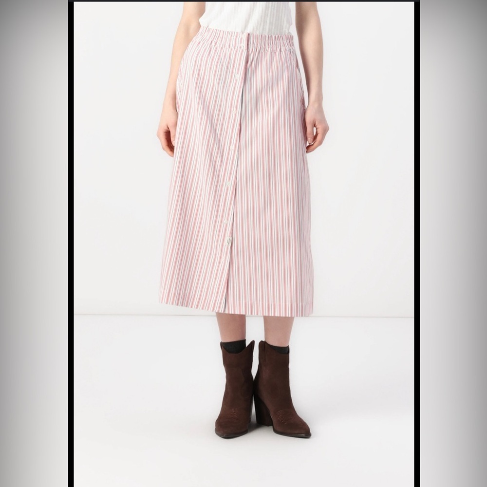 By Any Other Name stripped skirt
